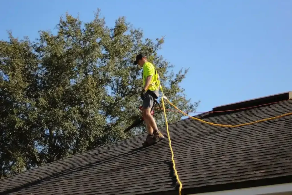 Professional Roof Damage Repair and Maintenance