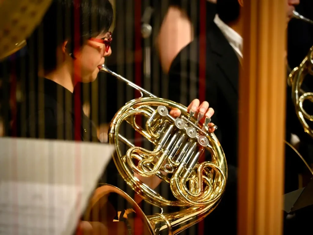 Guide to Choosing the Perfect French Horn