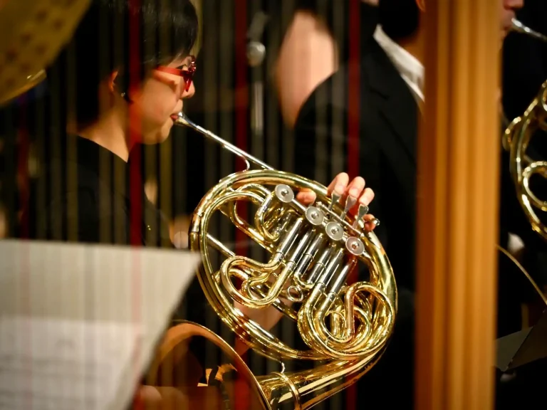 Guide to Choosing the Perfect French Horn