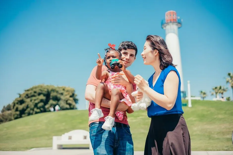 Understanding the Process of Confirmatory Adoption Step by Step