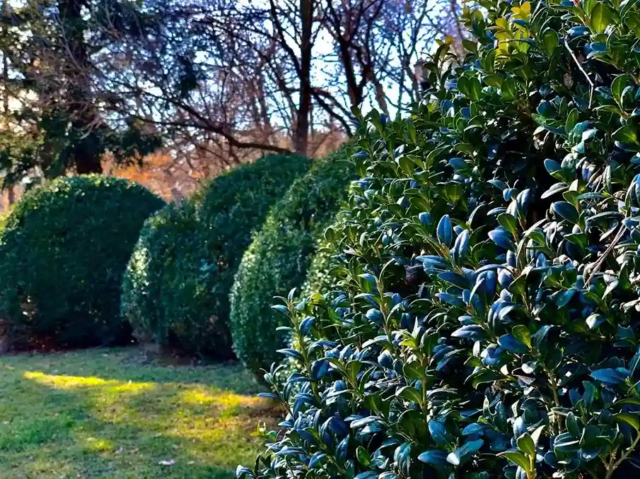 Top Trends in Modern Landscape Design
