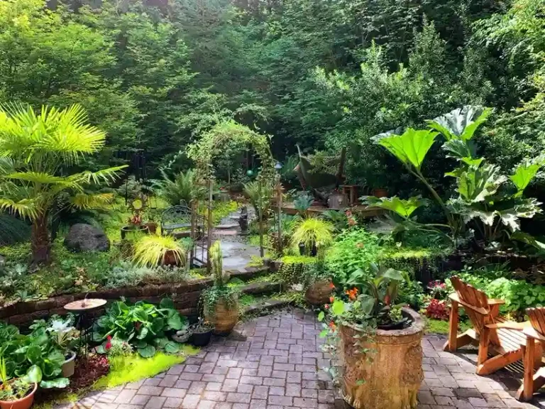 Top Benefits of Professional Landscaping for Residential Areas